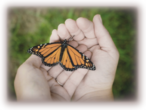 Image of a butterfly: We Care Facilities uses a butterfly as our stamp because of its significance as a powerful symbol of rebirth.